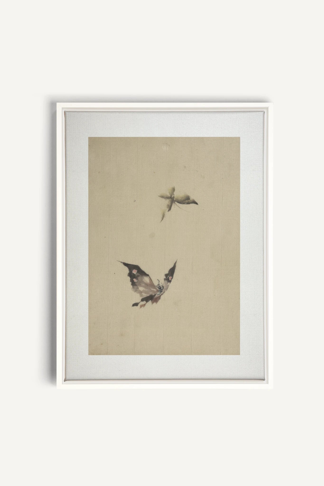 MISTY WINGS, Oeuvre sur toile étirée, encadré Blanc