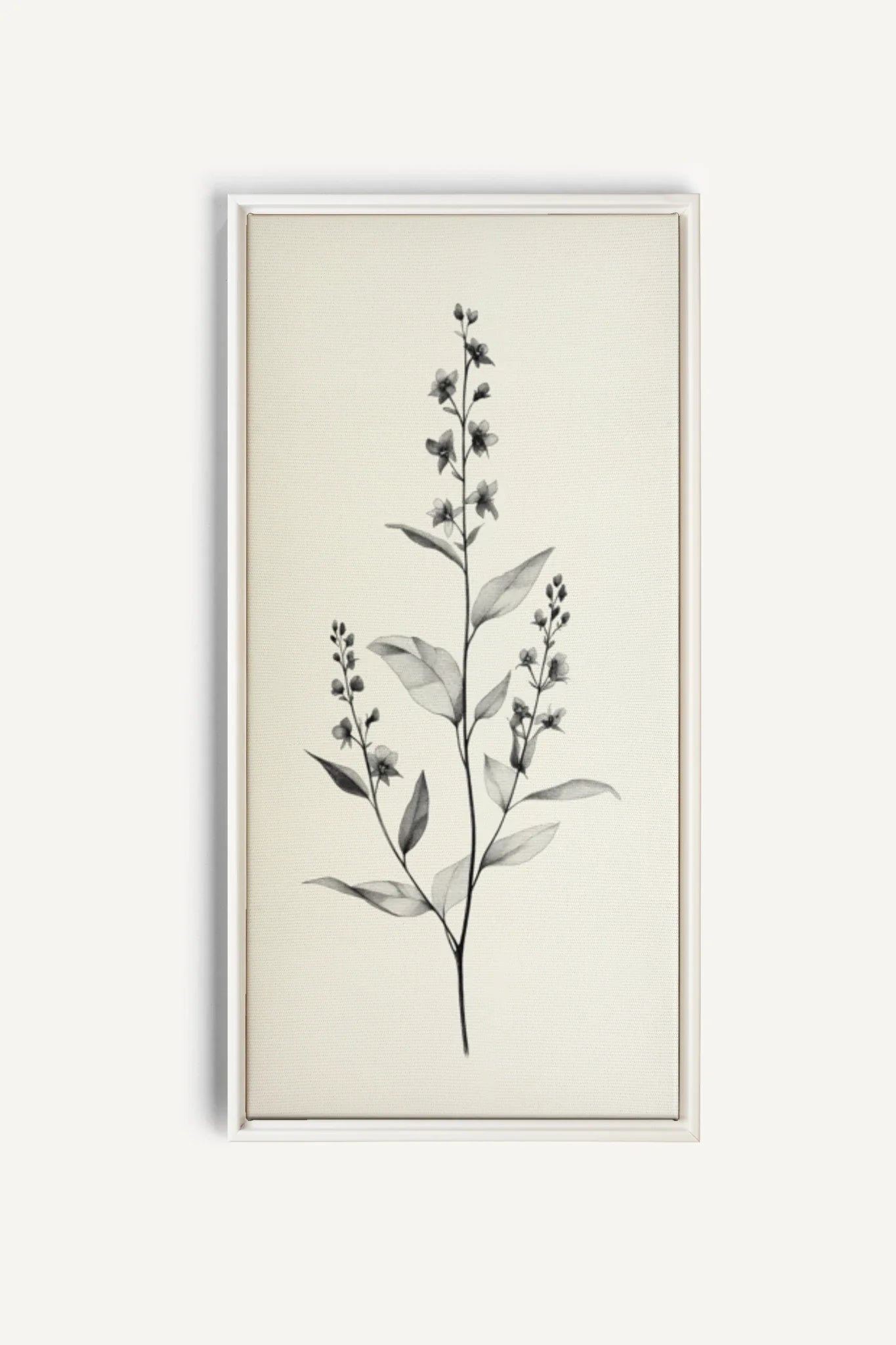 OLEKA CANVAS - NATURE&