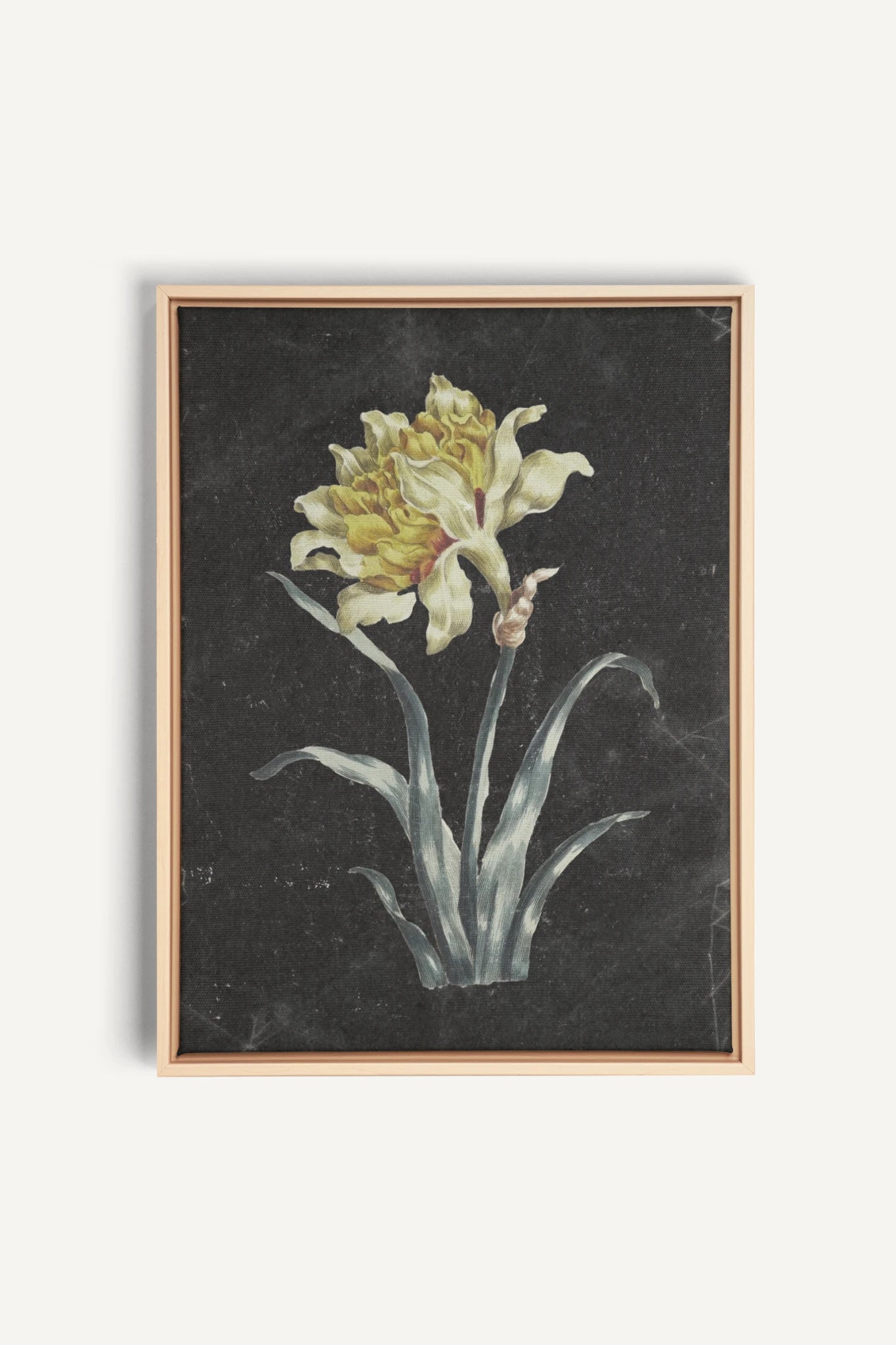 PRECIOUS FLORA, Oeuvre sur toile étirée, encadré Naturel Clair