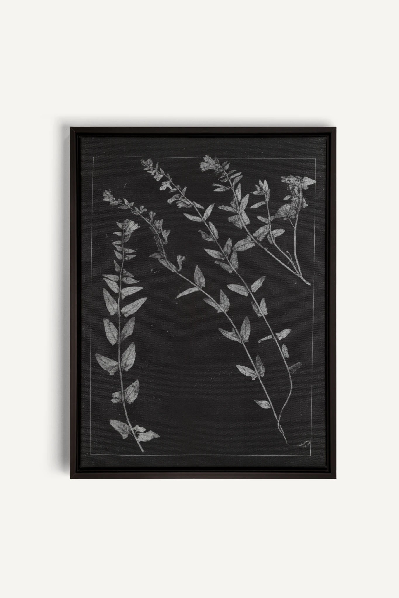 OLIVE MOON, Oeuvre sur toile étirée, encadré Brun Noyer main image 1