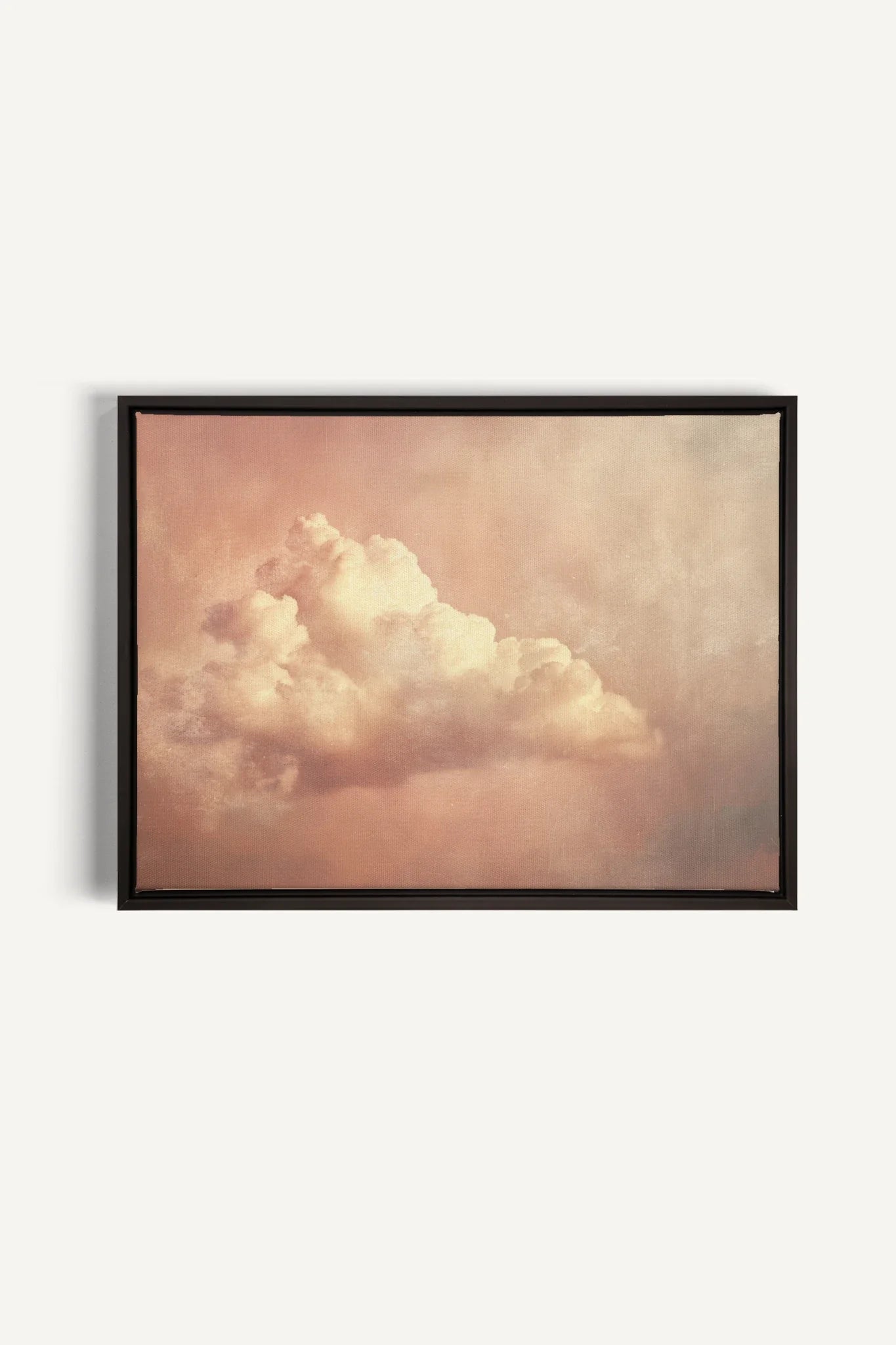 OLEKA CANVAS - ROSE MIST, Oeuvre sur toile étirée, encadré Noir