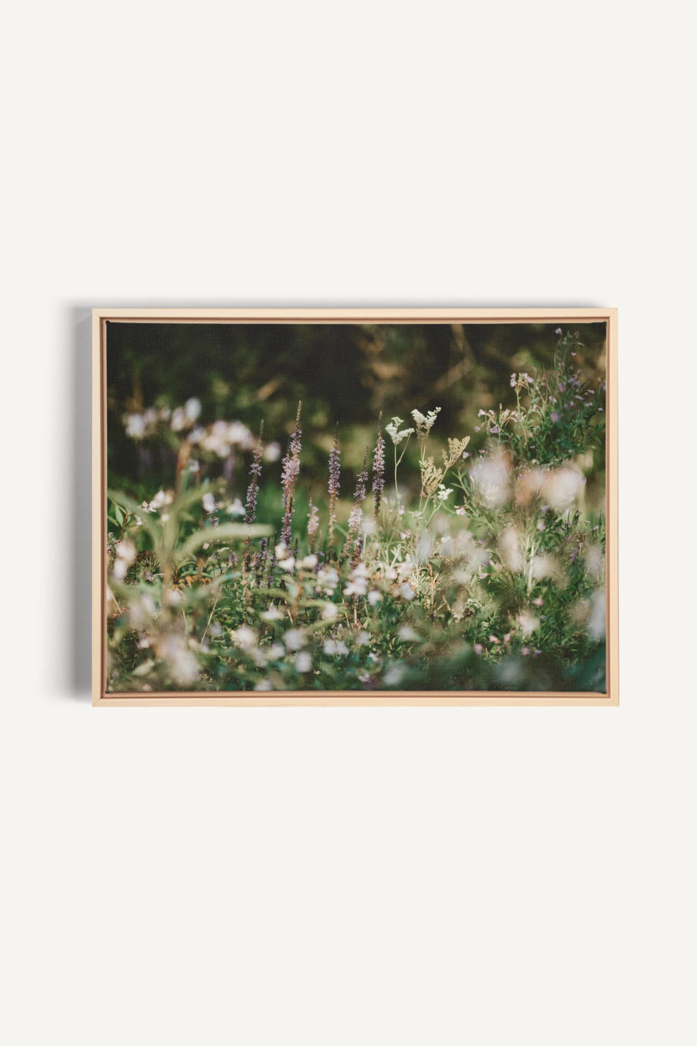 SAUGE & LAVANDE, Oeuvre sur toile étirée, encadré Naturel Clair