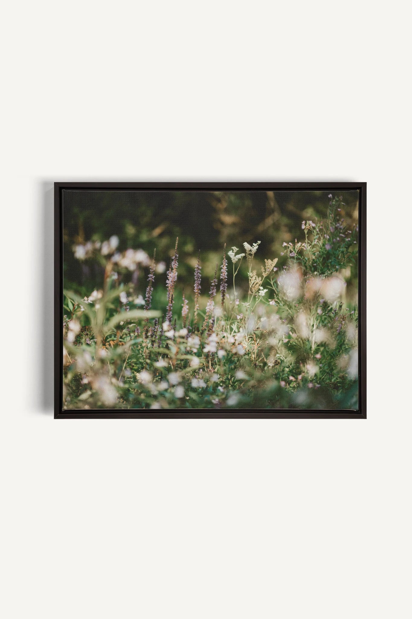SAUGE & LAVANDE, Work on stretched canvas, framed Black