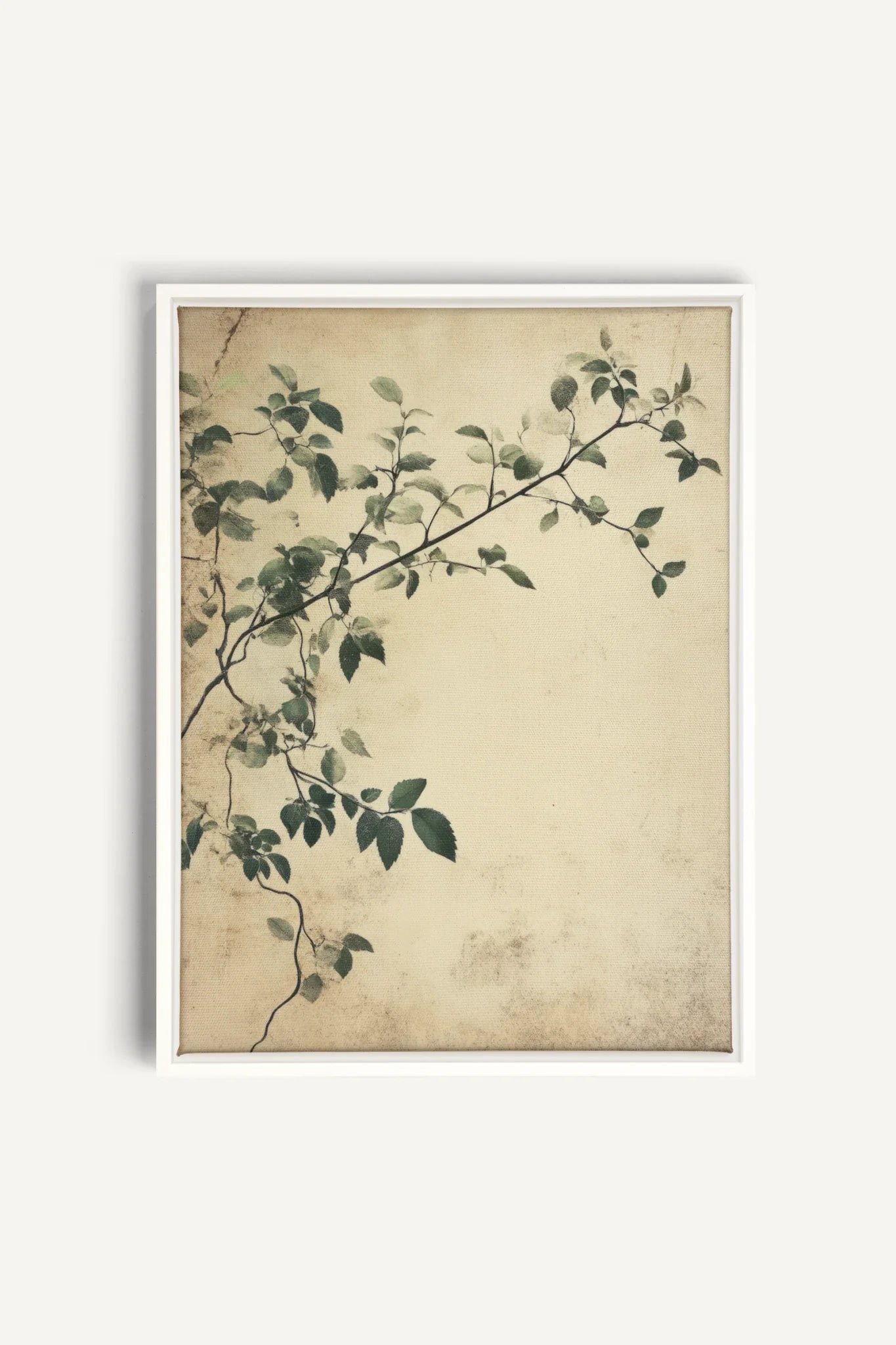 OLEKA CANVAS - SILENT VINES, Oeuvre sur toile étirée, encadré Blanc