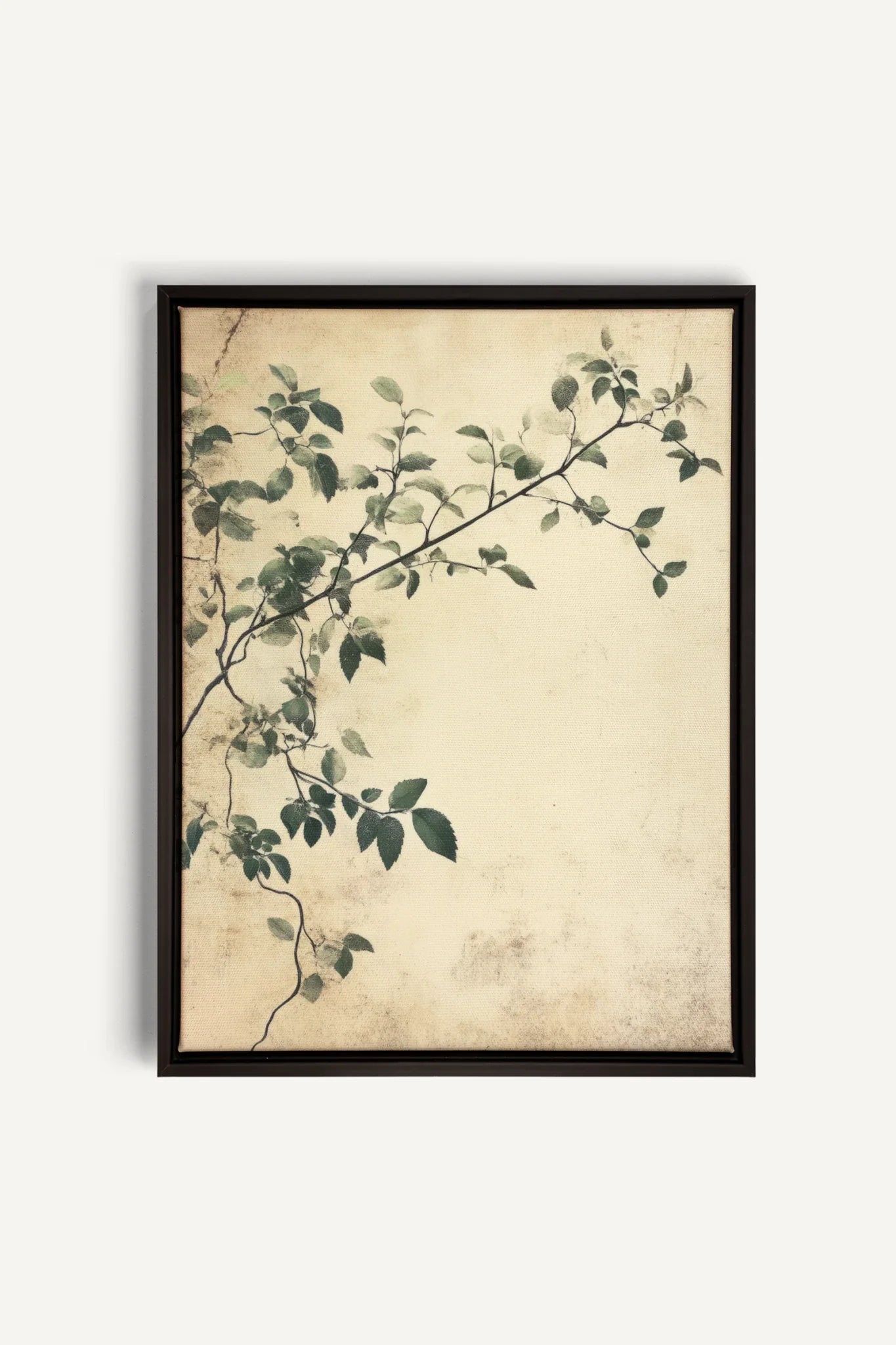 OLEKA CANVAS - SILENT VINES, Oeuvre sur toile étirée, encadré Noir