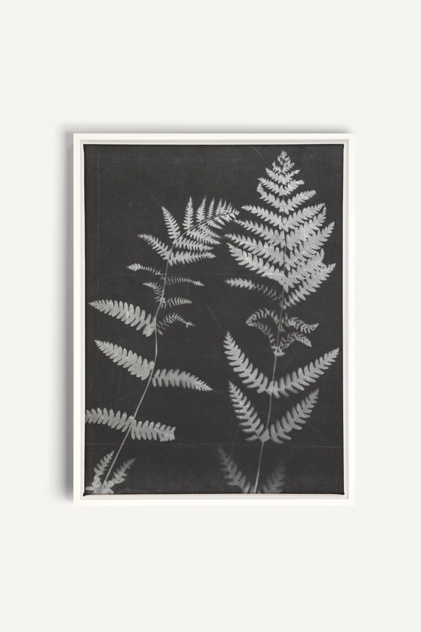 SOUFFLE FORESTIER, Oeuvre sur toile étirée, encadré Blanc