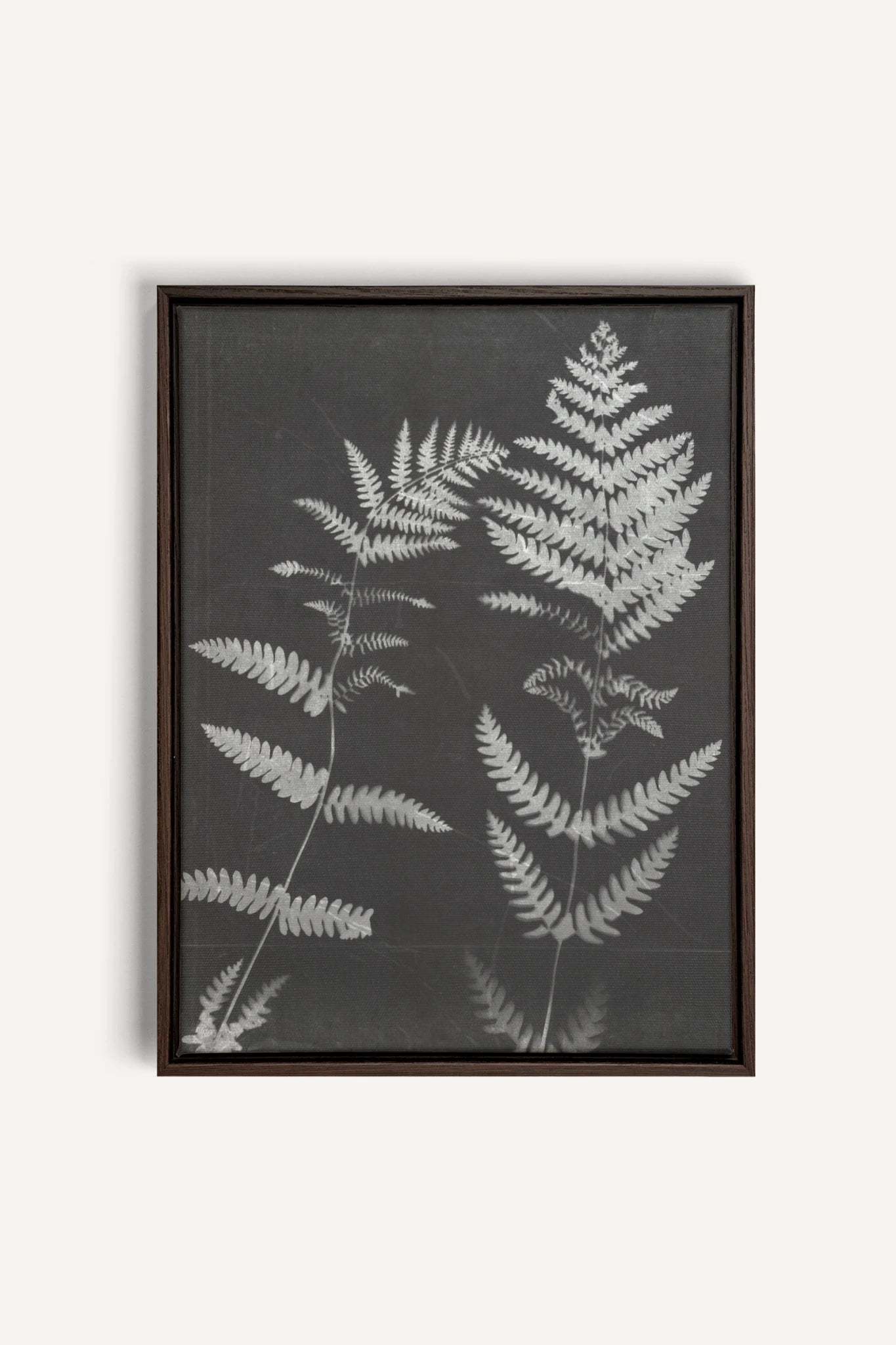 SOUFFLE FORESTIER, Oeuvre sur toile étirée, encadré Brun Noyer