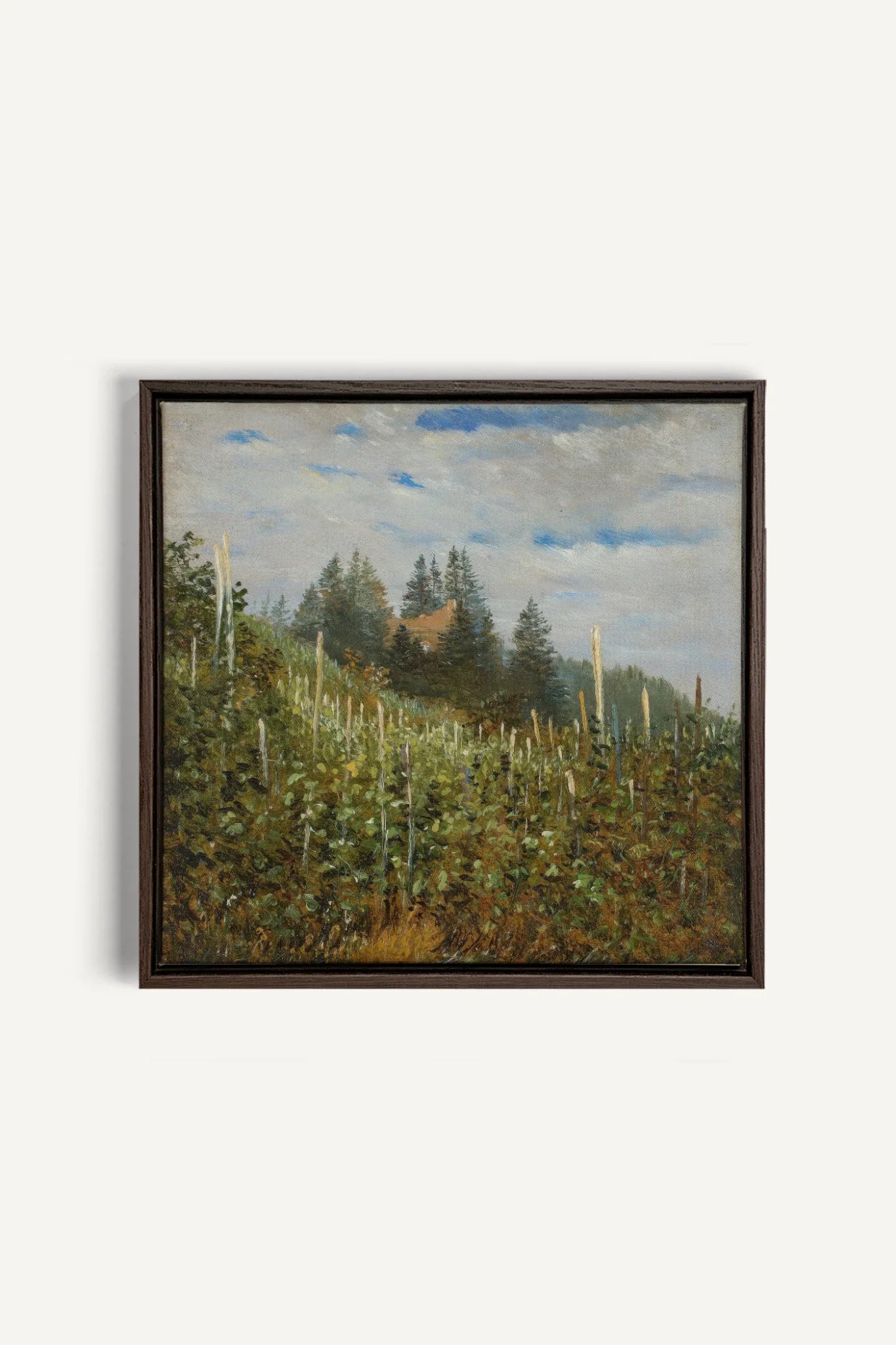 OLEKA CANVAS - VERSANTS SAUVAGES, Oeuvre sur toile étirée, encadré Brun Noyer