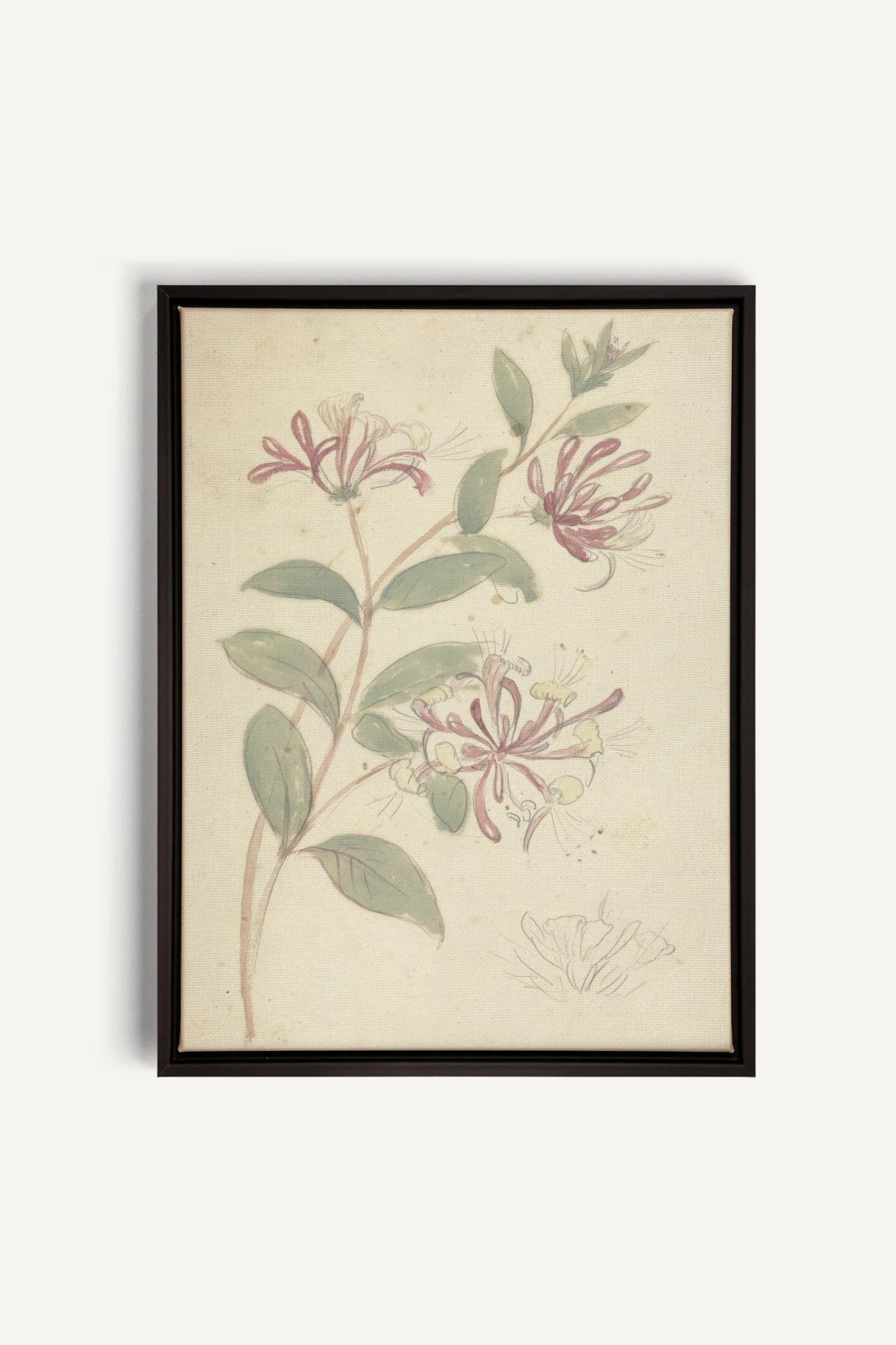 VINTAGE VINE, Oeuvre sur toile étirée, encadré Noir