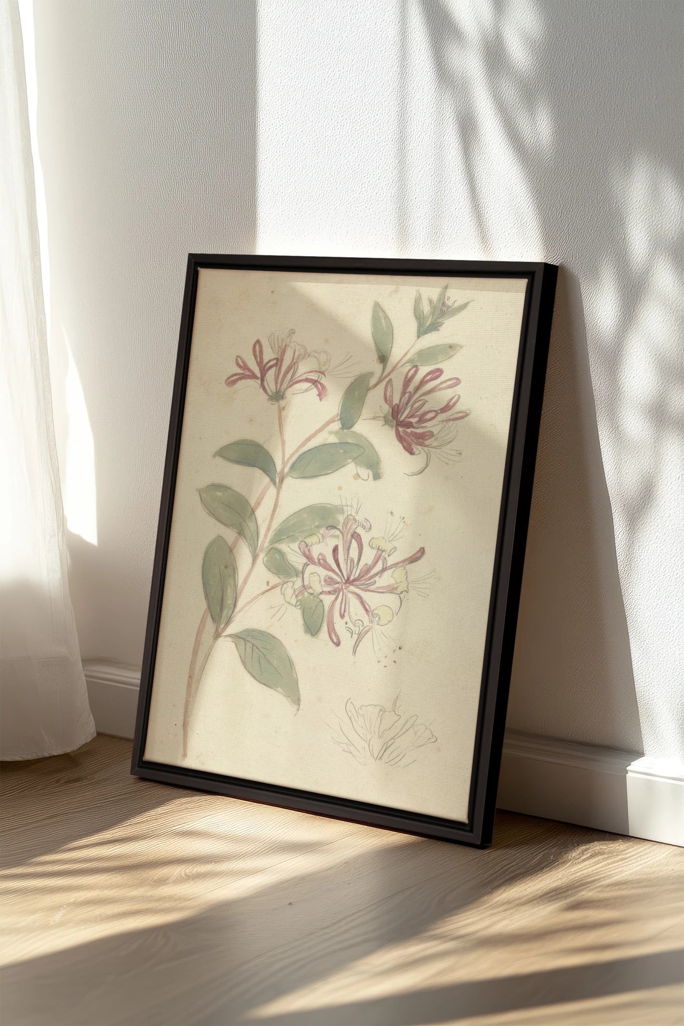 VINTAGE VINE, Oeuvre sur toile étirée, encadré Noir