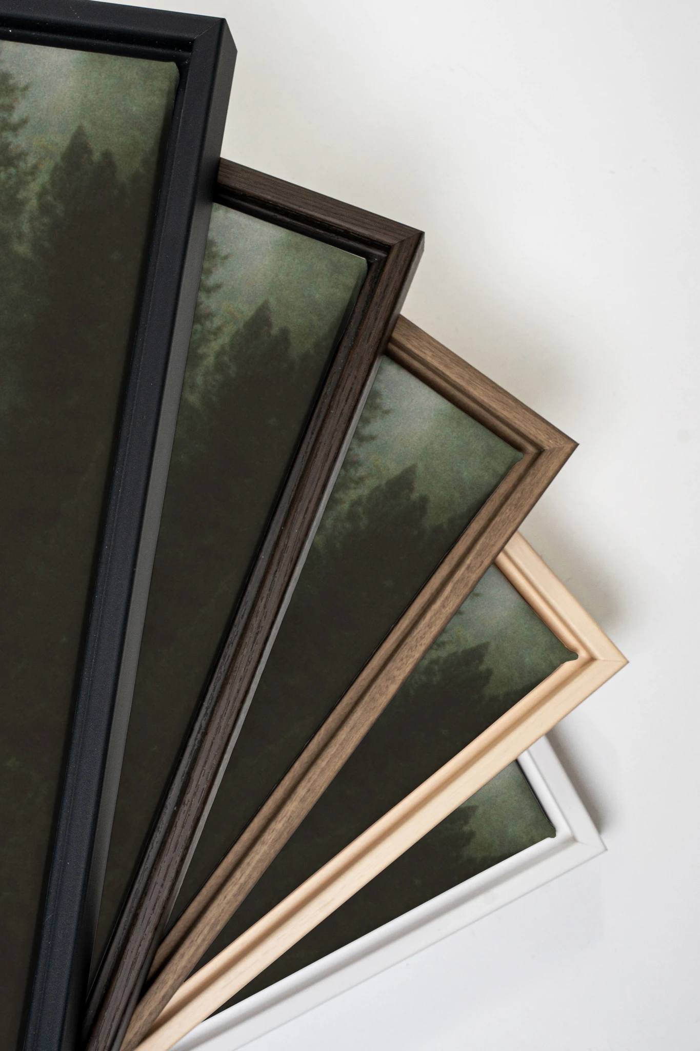 WOODLAND VEIL, Oeuvre sur toile étirée, encadré Noir
