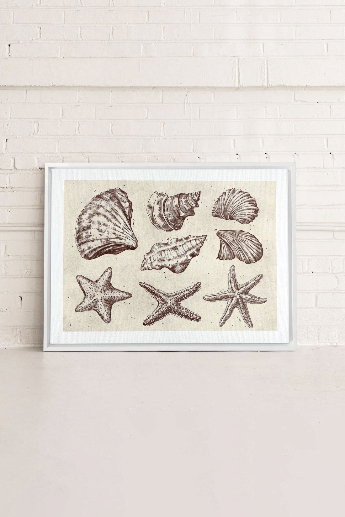 OLEKA CANVAS - COASTAL COLLECTION, Oeuvre sur toile étirée, encadré Blanc