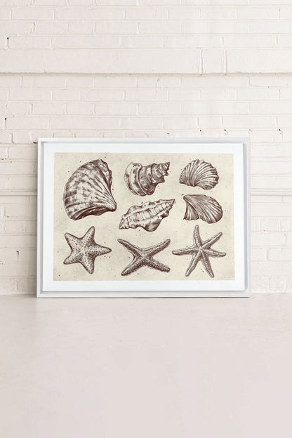 OLEKA CANVAS - COASTAL COLLECTION, Oeuvre sur toile étirée, encadré Blanc