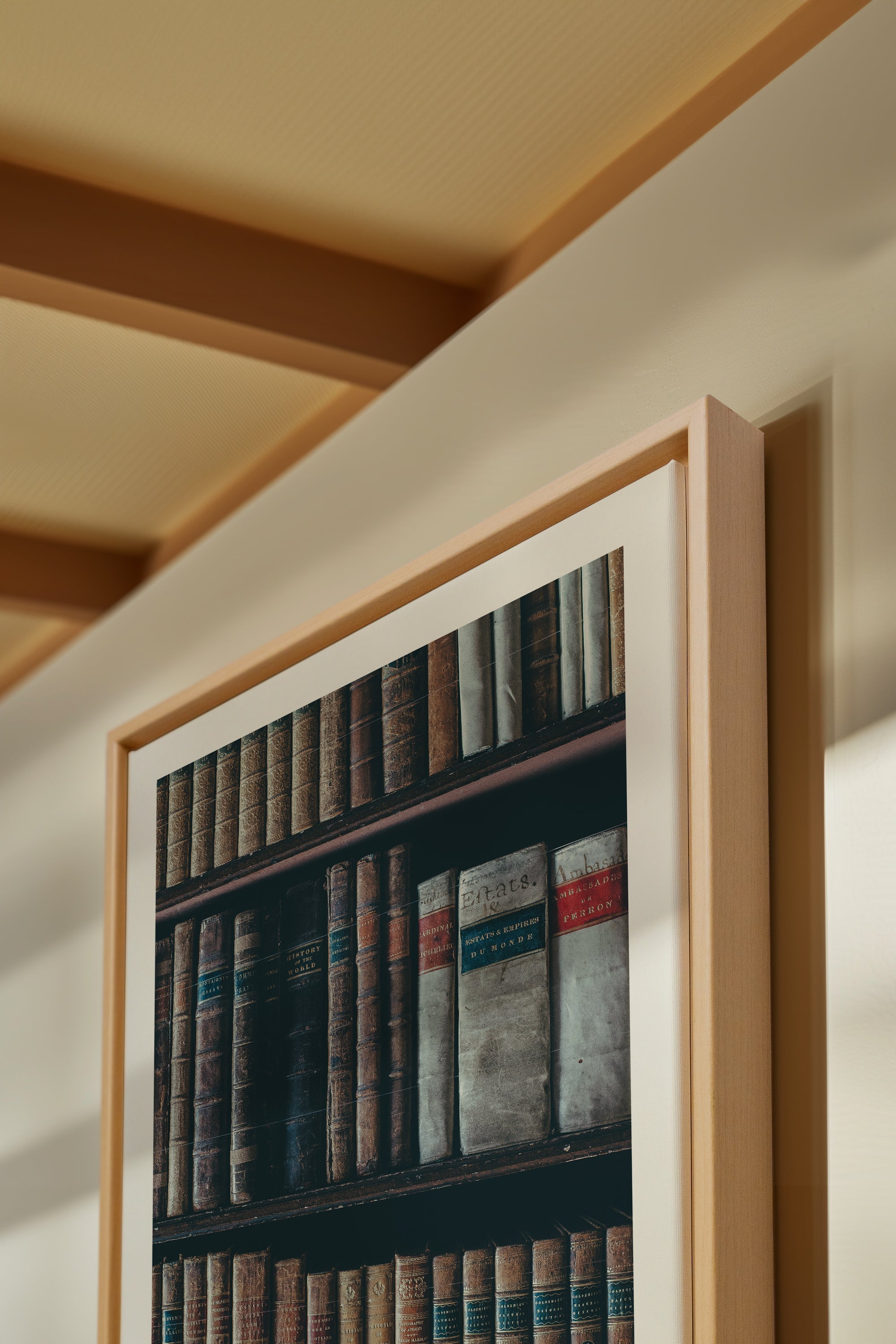 OLEKA CANVAS - SAVOIR OCCULTE, Oeuvre sur toile étirée, encadré Naturel Clair