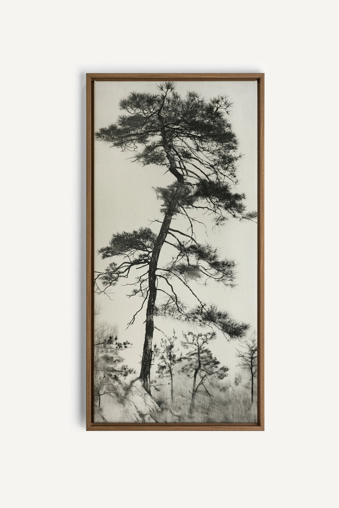 PIN SOLITAIRE, Oeuvre sur toile étirée, encadré Brun Chêne