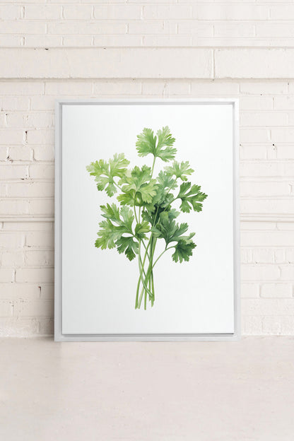 OLEKA CANVAS - CILANTRO, Oeuvre sur toile étirée, encadré Blanc