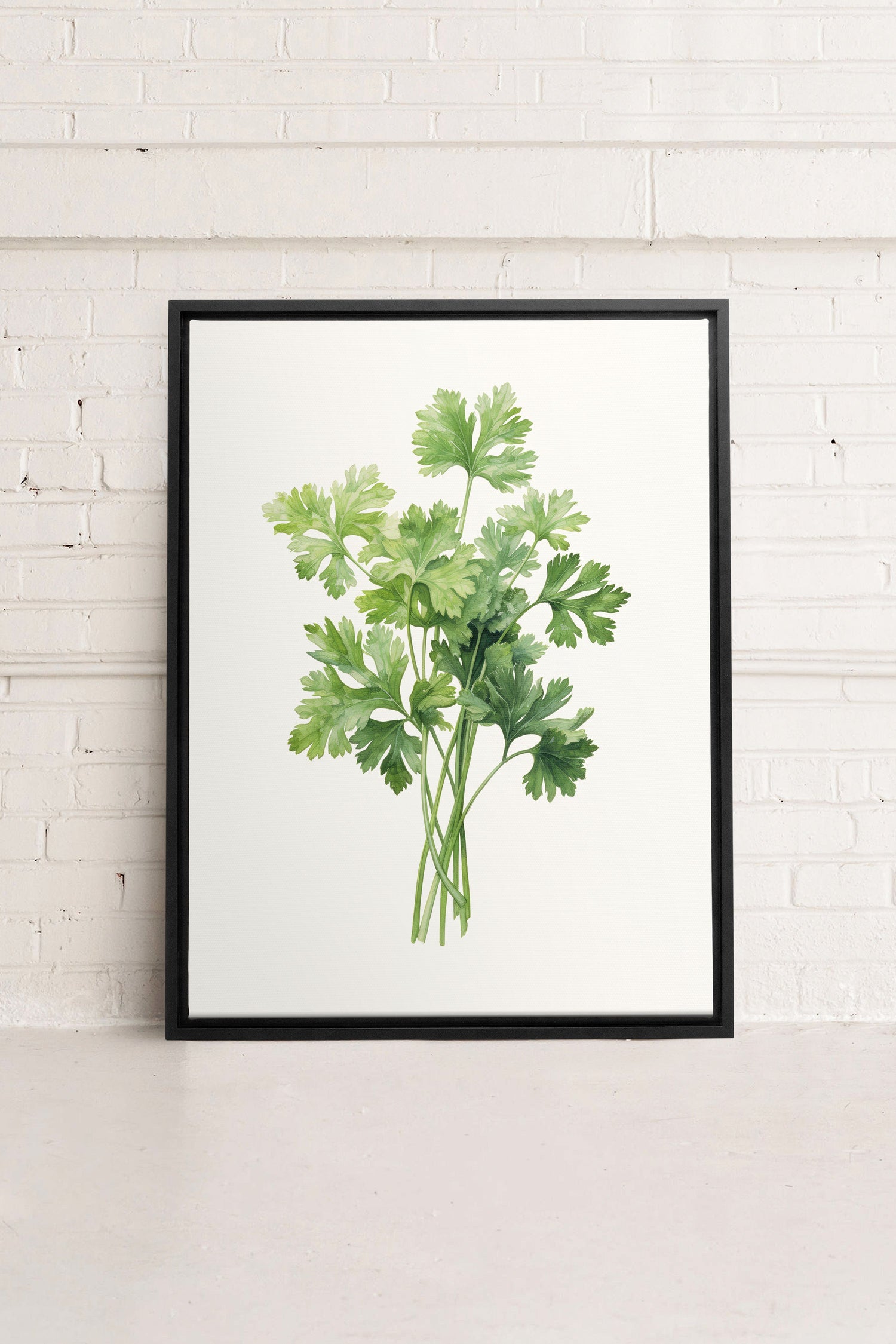 OLEKA CANVAS - CILANTRO, Oeuvre sur toile étirée, encadré Noir