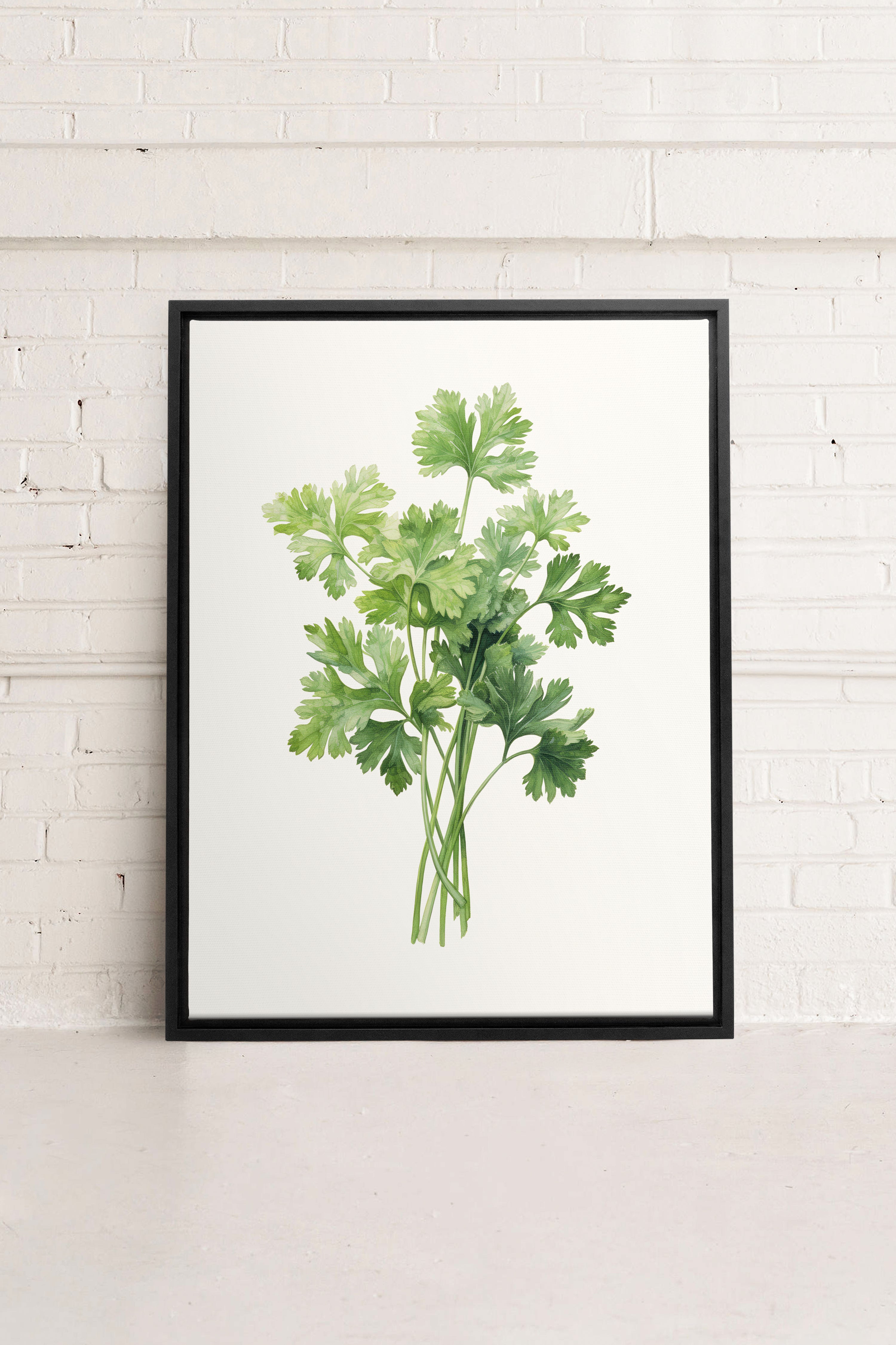 OLEKA CANVAS - CILANTRO, Oeuvre sur toile étirée, encadré Noir