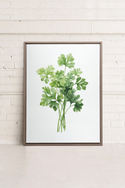 OLEKA CANVAS - CILANTRO, Oeuvre sur toile étirée, encadré Brun Chêne
