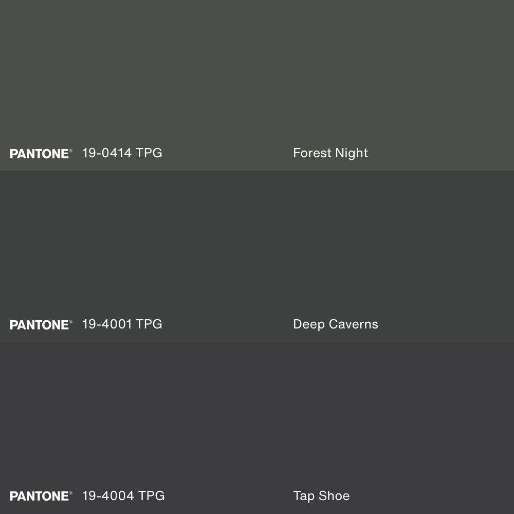 WILD SCRIPT, Oeuvre sur toile étirée, encadré Naturel Clair