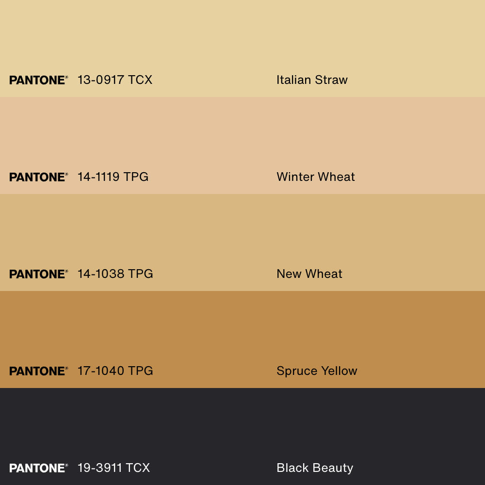 EARTHLY CONSTELLATION, Artwork on stretched canvas, framed Natural Light