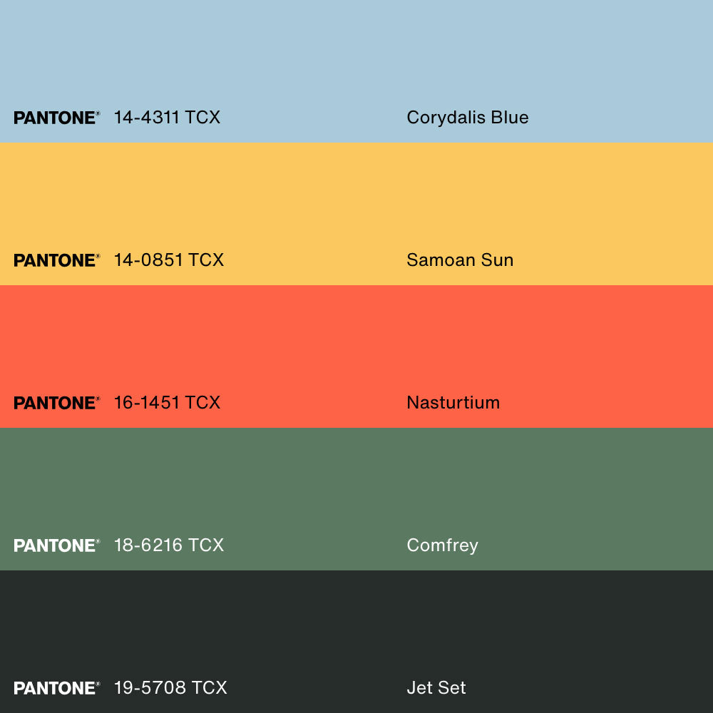 COMMON & GOLDEN CARP, Artwork on stretched canvas, framed Natural Light