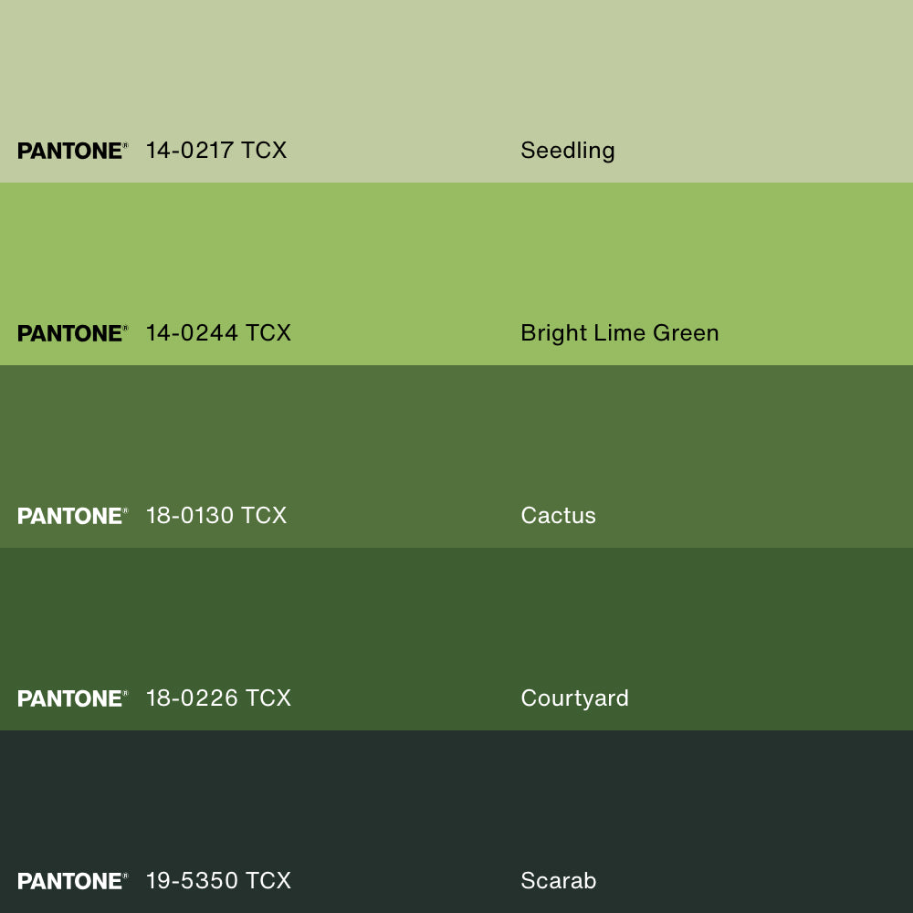 DUO FINES HERBES, 2 Artworks on stretched canvas, framed Natural Light