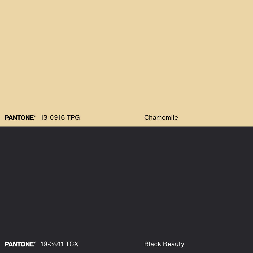 DARK BURST, Oeuvre sur toile étirée, encadré Naturel Clair