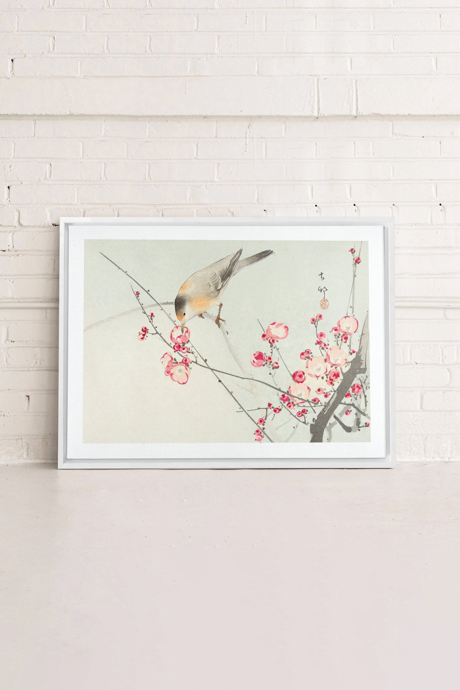 OLEKA CANVAS - SONGBIRD, Oeuvre sur toile étirée, encadré Blanc