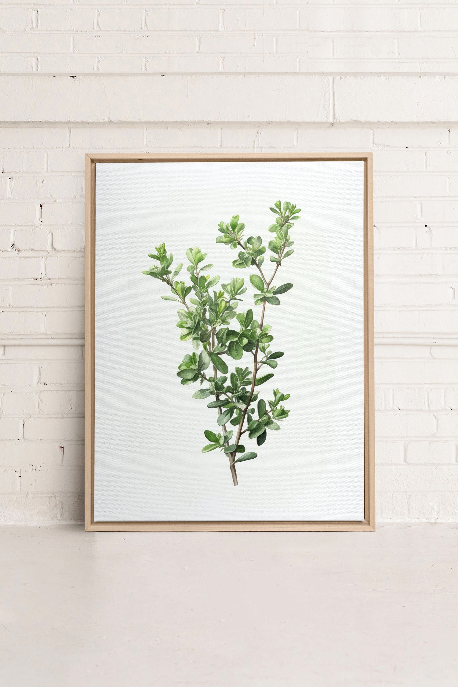 THYMARIS, Artwork on stretched canvas, framed Natural Light