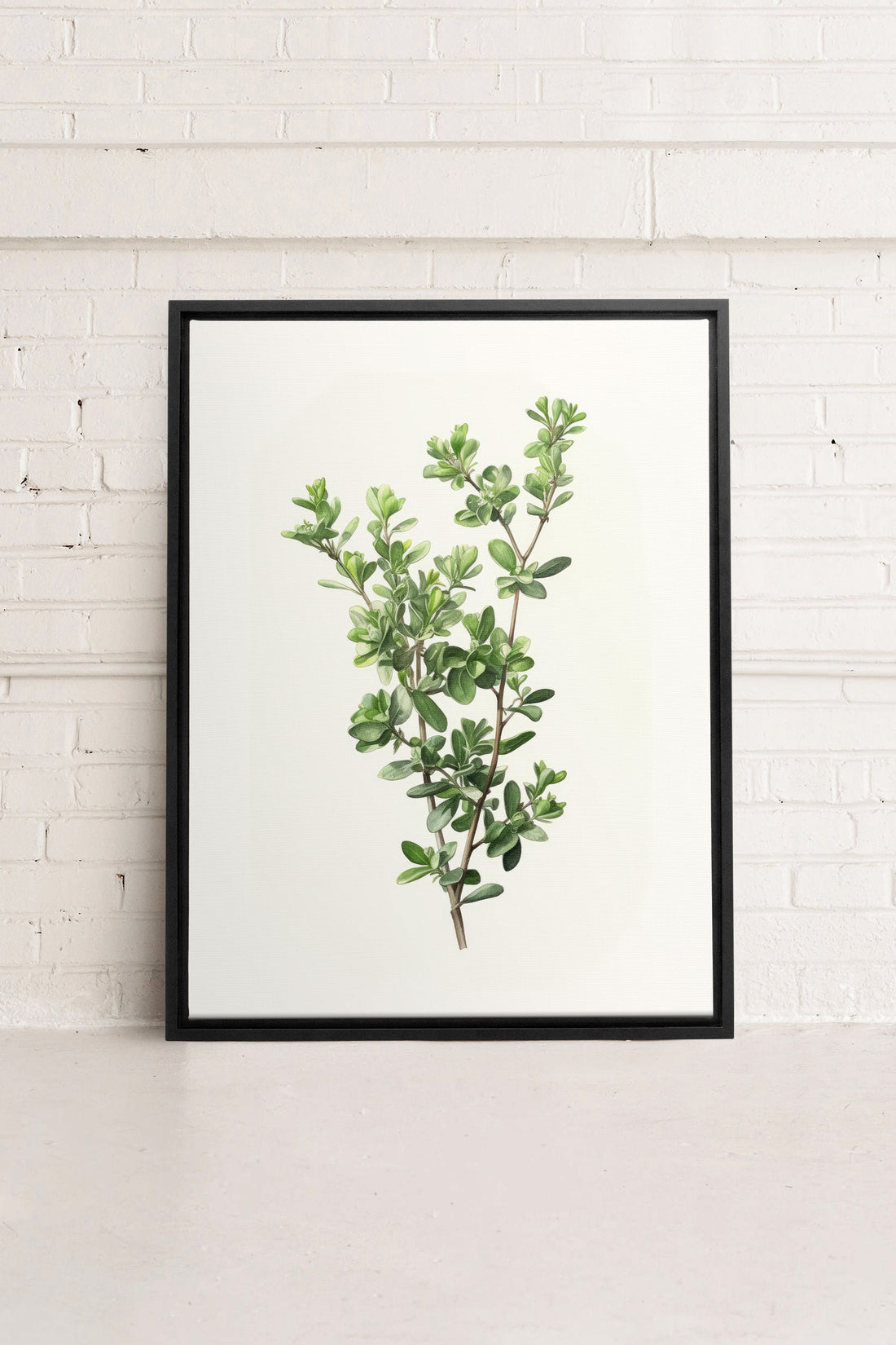 OLEKA CANVAS - THYMARIS, Oeuvre sur toile étirée, encadré Noir