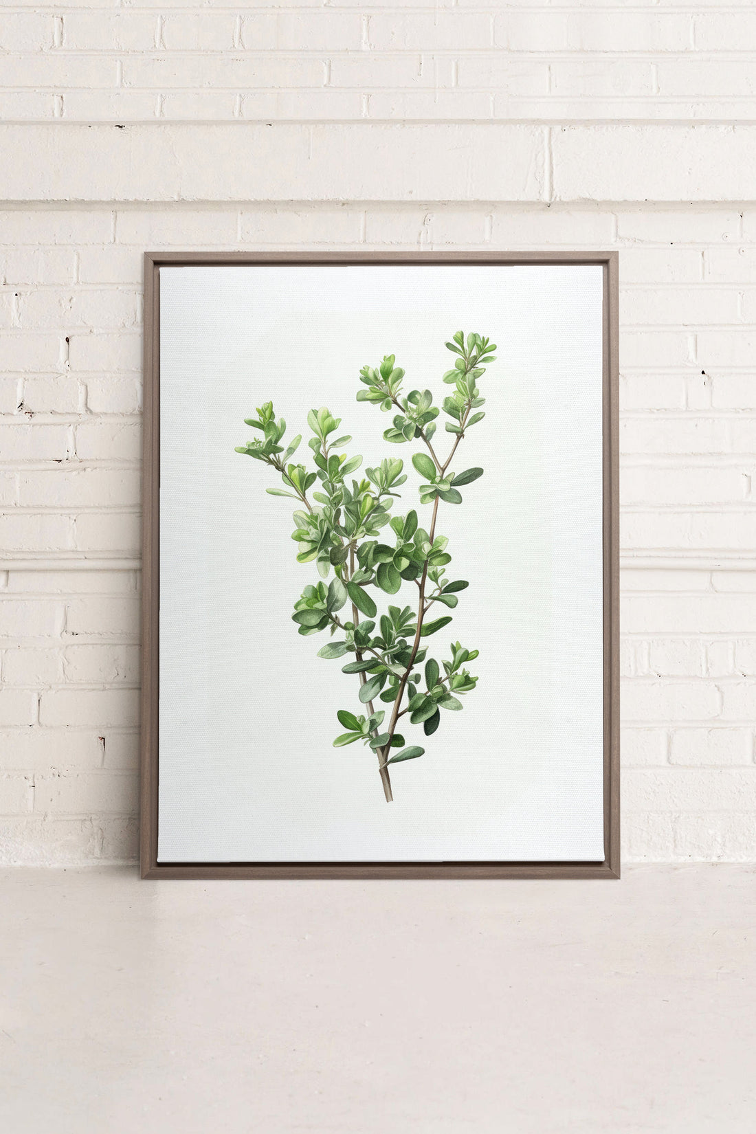 OLEKA CANVAS - THYMARIS, Oeuvre sur toile étirée, encadré Brun Chêne