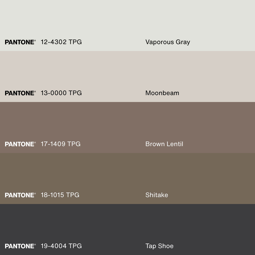 DANSE DES PLUMES, Artwork on stretched canvas, framed Natural Light