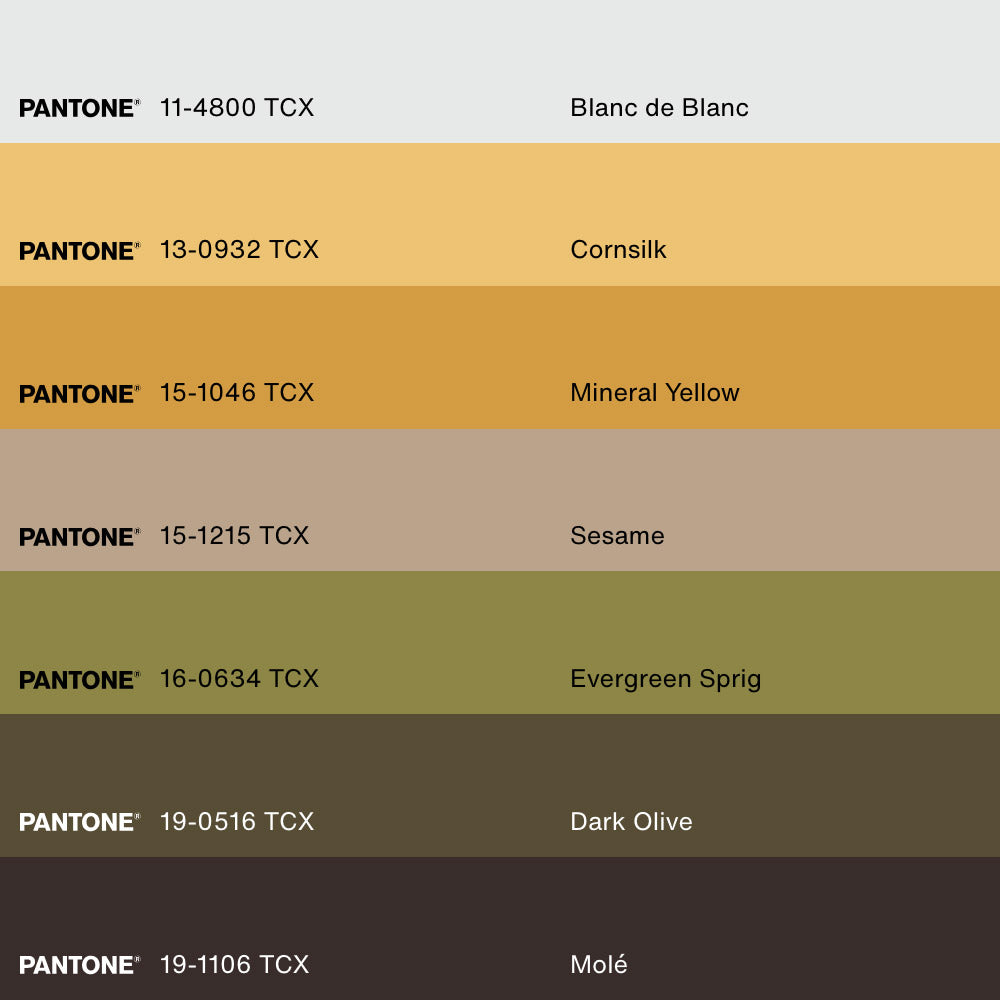 DUO SABLE & COCO, 2 Artworks on stretched canvas, framed Natural Light