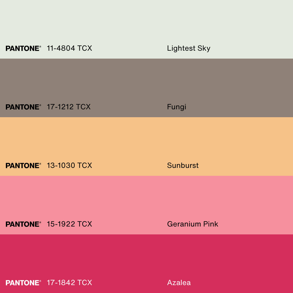 SONGBIRD, Oeuvre sur toile étirée, encadré Naturel Clair