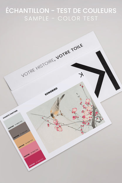 OLEKA CANVAS - SONGBIRD, Oeuvre sur toile étirée, encadré Blanc