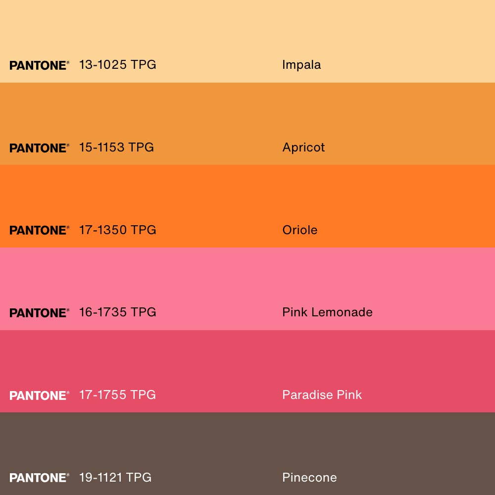 COLOR BLAZE, Oeuvre sur toile étirée, encadré Naturel Clair