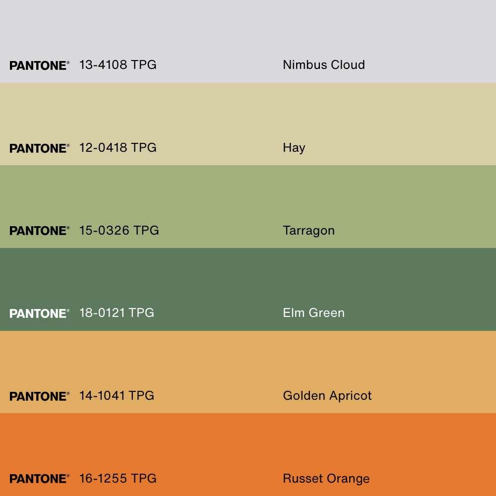 ABSTRACT JUNGLE, Oeuvre sur toile étirée, encadré Blanc