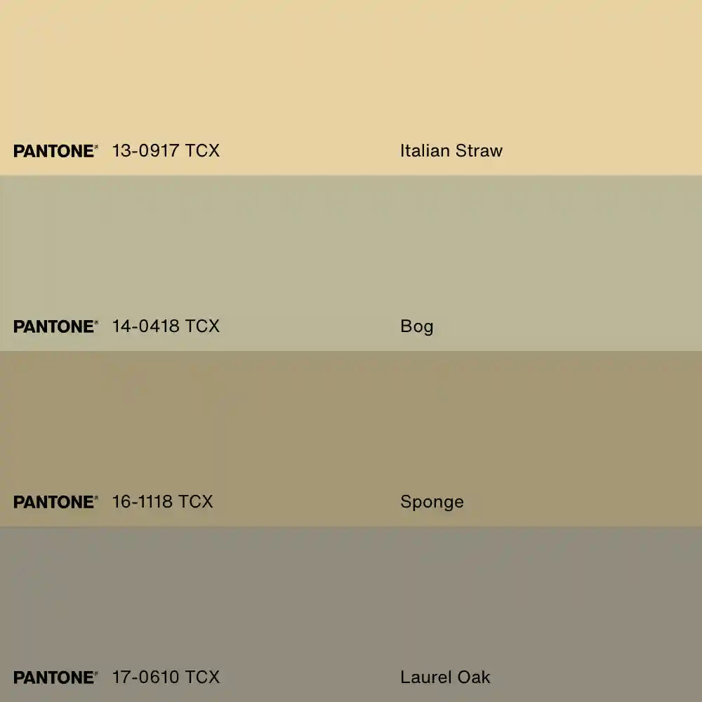 RÊVE DE RIVAGE, Oeuvre sur toile étirée, encadré Noir