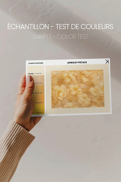 APRICOT PETALS, Work on stretched canvas, framed Naturel Clair