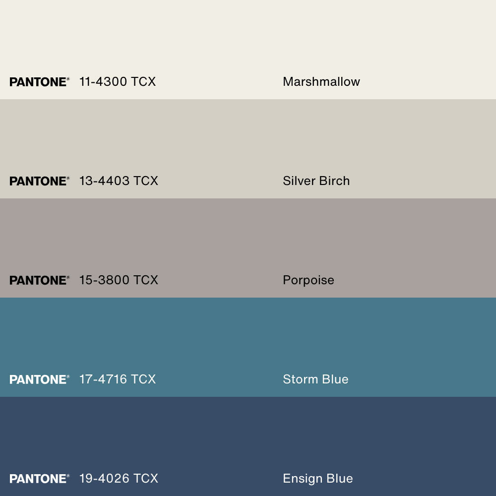 THREE SEAGULLS, Artwork on stretched canvas, framed Natural Light