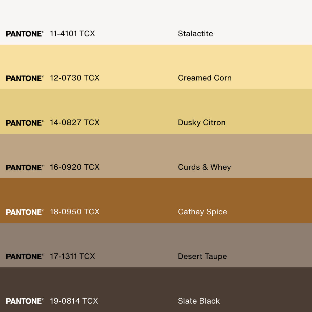 MATIN LUMINEUX, Oeuvre sur toile étirée, encadré Brun Noyer