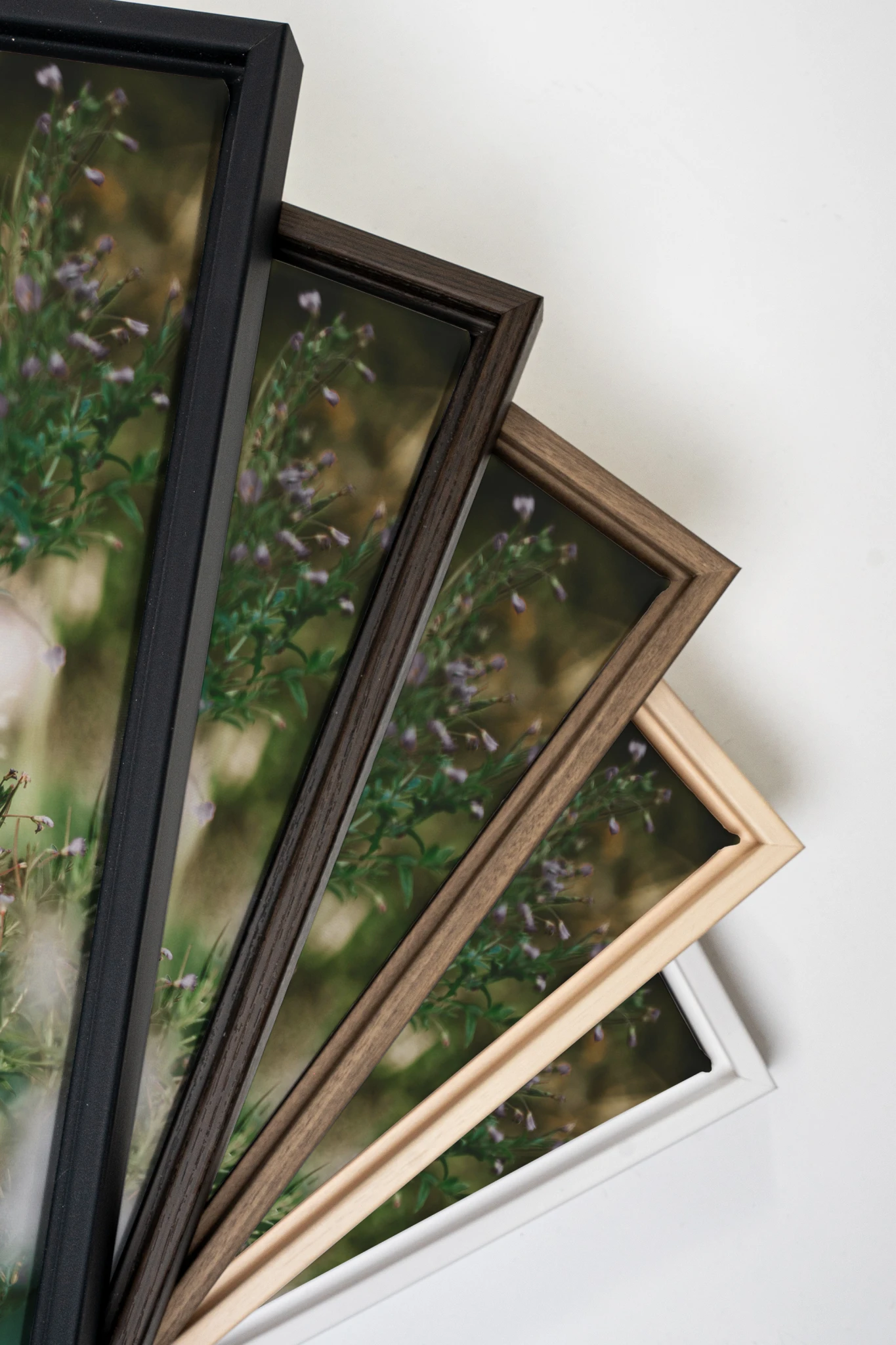 SAUGE &amp; LAVANDE, Oeuvre sur toile étirée, encadré Blanc