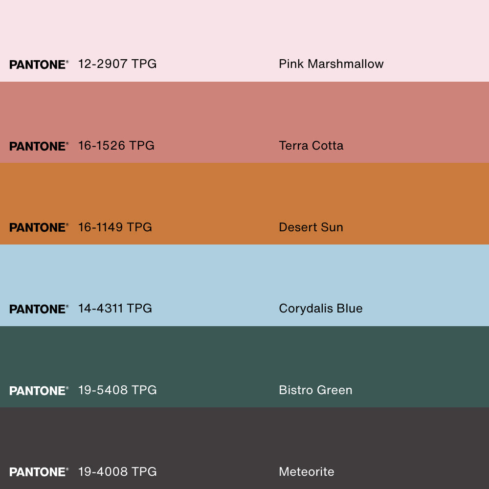 LIMONADE ROSE, Oeuvre sur toile étirée, encadré Naturel Clair