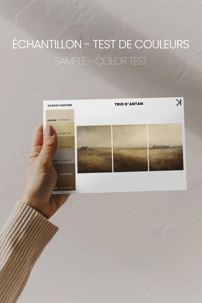 OLEKA CANVAS - TRIO D&