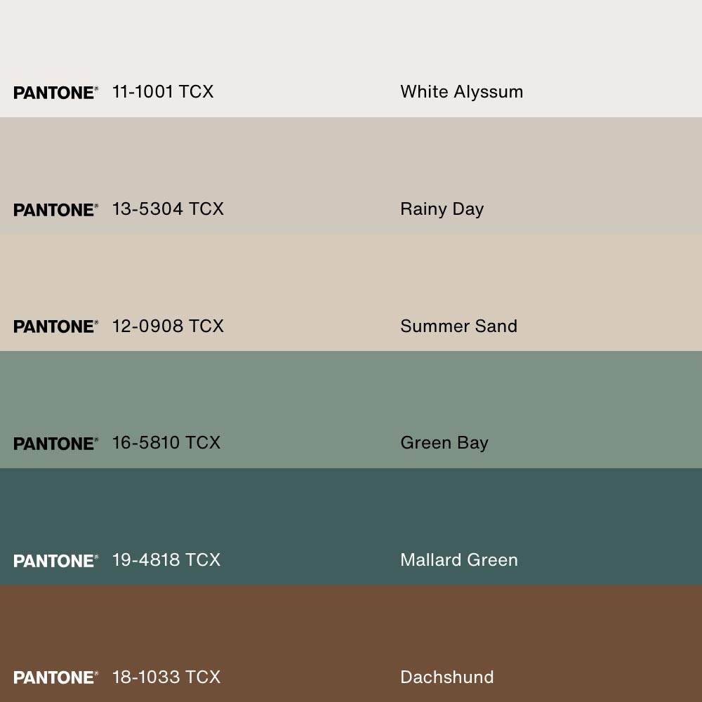 FRAGMENTS NATURELS, Oeuvre sur toile étirée, encadré Naturel Clair