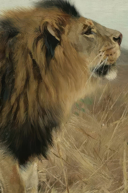 MAJESTÉ SAUVAGE, Artwork on rigid canvas, framed in Vintage Gold