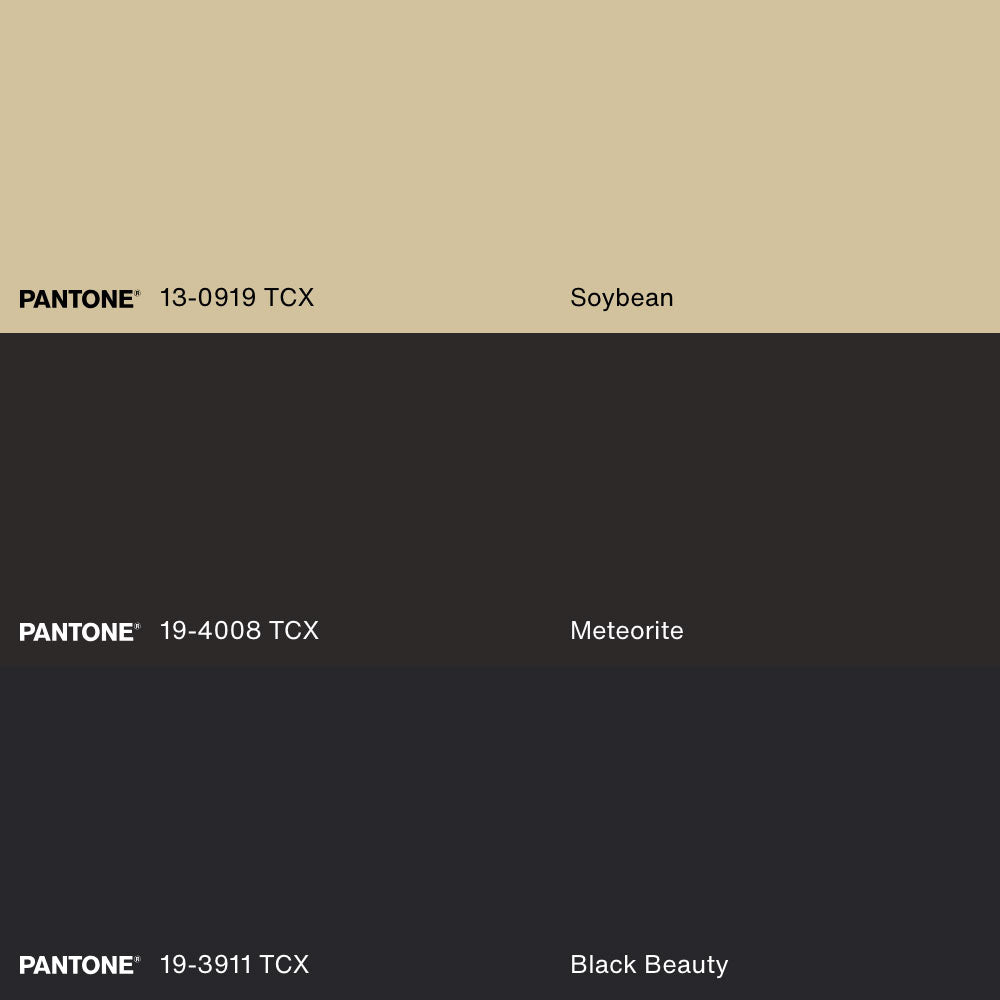 SHADOW SCRIPT, Artwork on stretched canvas, framed Natural Light