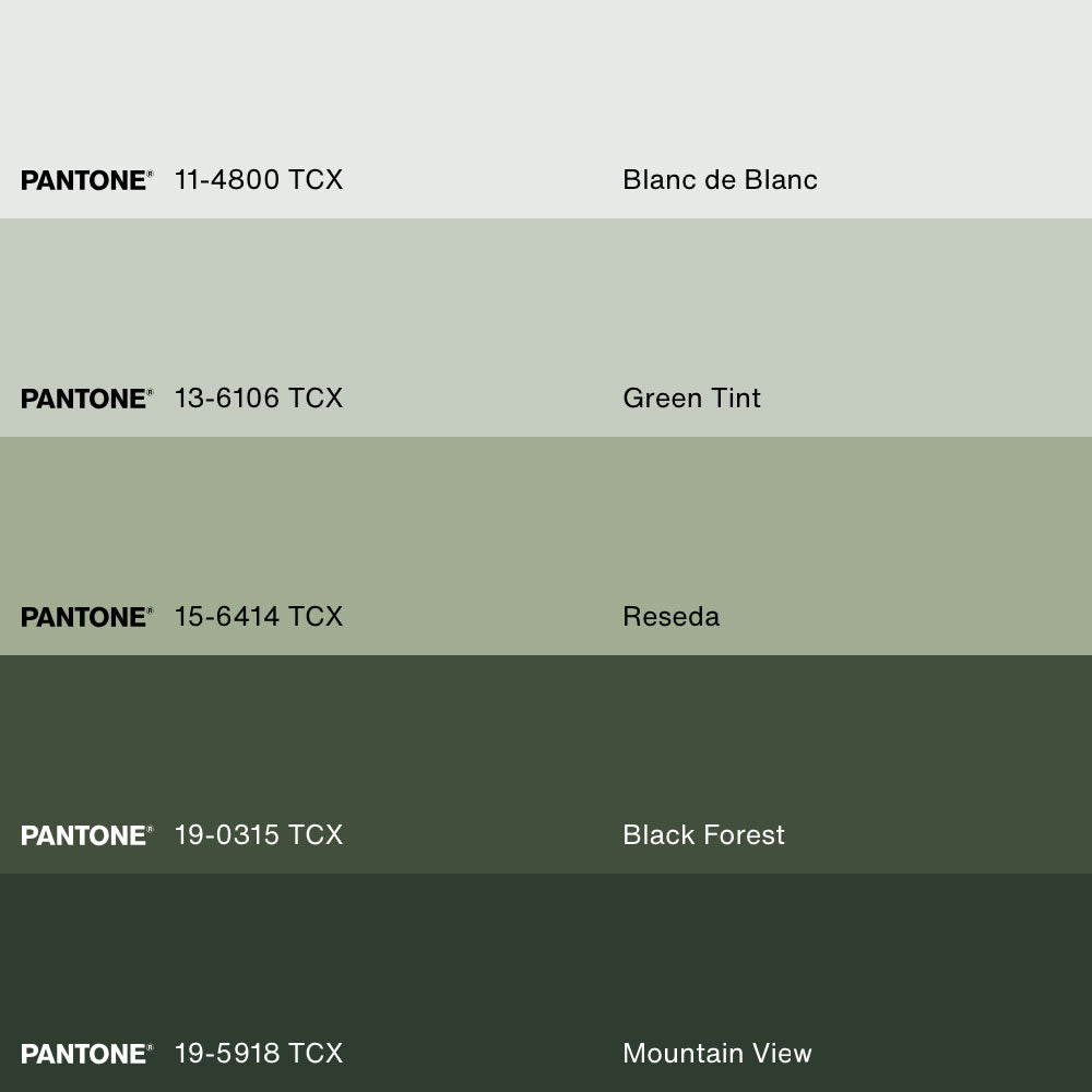 FOREST HAZE, Artwork on stretched canvas, framed in white