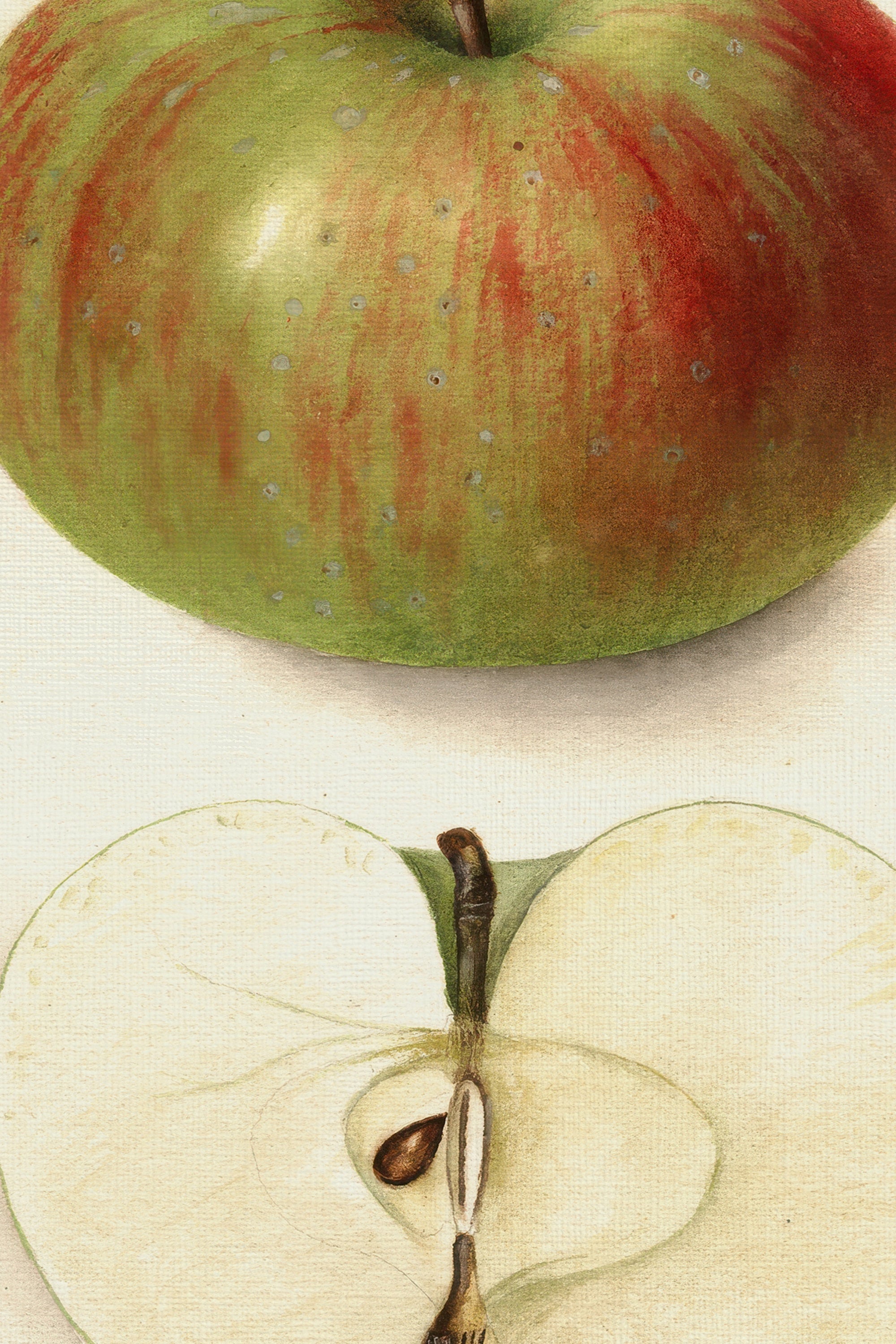 SAVEUR DU PASSÉ, Artwork on rigid canvas, framed in Vintage Bronze